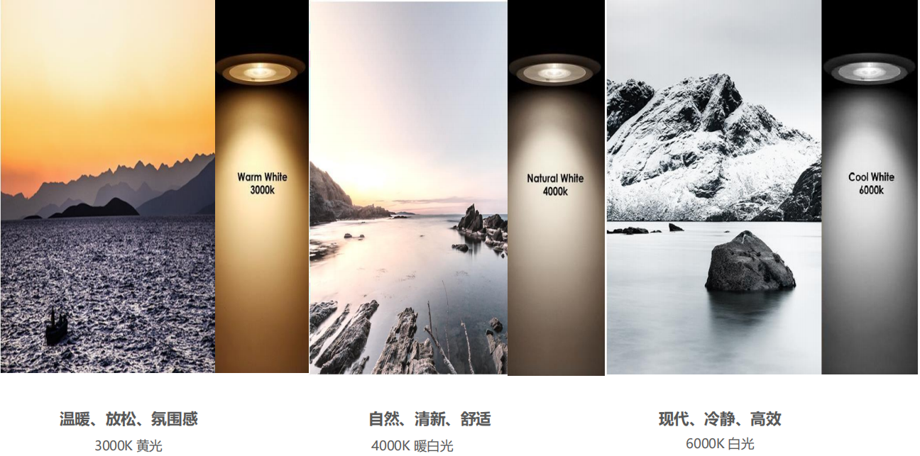 【設(shè)計(jì)案例】普照國(guó)康醫(yī)藥辦公室項(xiàng)目概念設(shè)計(jì)——以空間敘事，筑品牌基因(圖26)