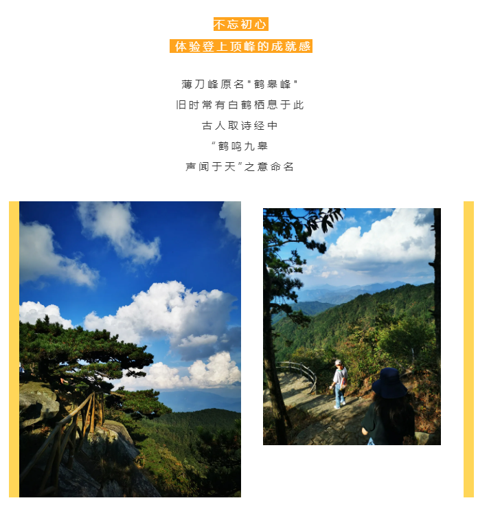 秋天了，來一場成年人的秋游吧(圖2)
